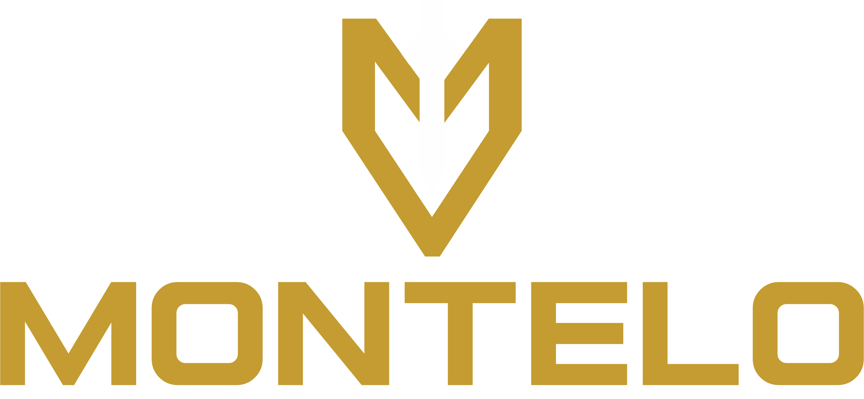 Logo Fabio Montelo